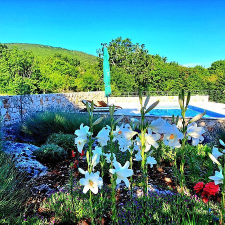 Relaxing Dalmatian House In Village Ljubitovica Exterior photo